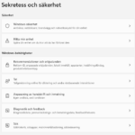Inställningar för sekretess och säkerhet i Windows 11
